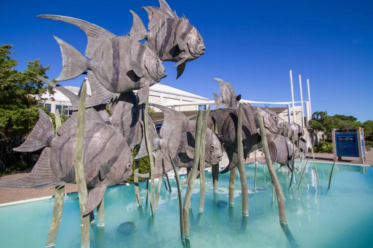 A whimsical outdoor scene featuring a metal fish sculpture with a water feature and surrounding greenery. The space is artistic and inviting, perfect for memorable photos and representing local art culture.
